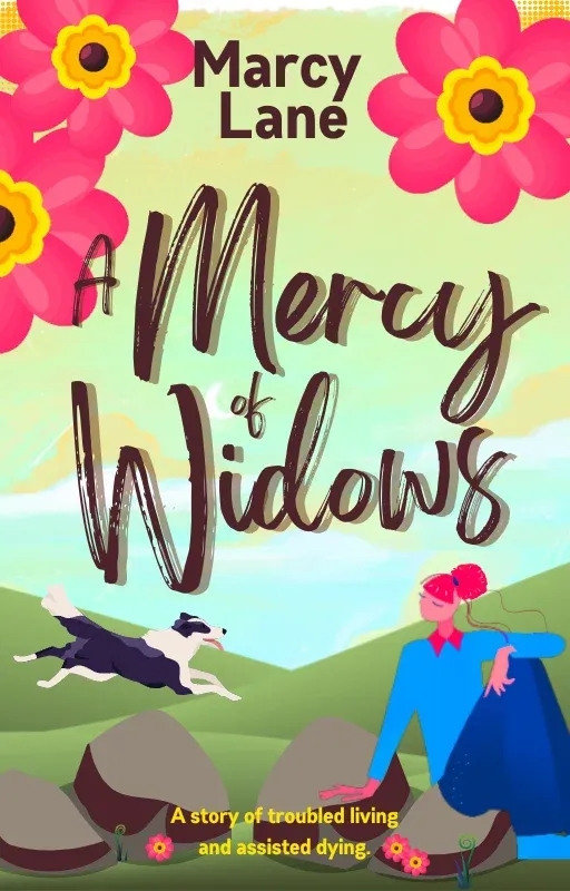 A Mercy of Widows cover